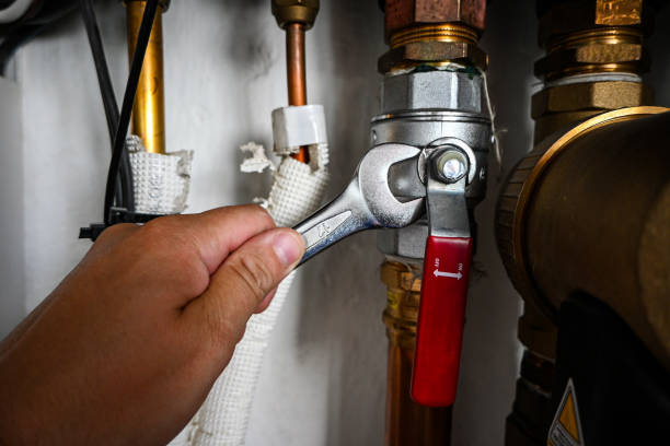Best Clogged Drain Plumber  in Flying Hills, PA